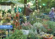 Mostra-mercato Vanzo Floreale 2010